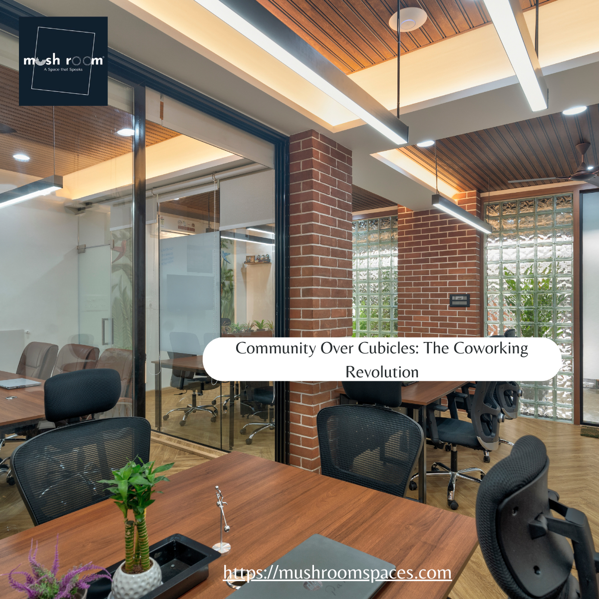 Community Over Cubicles: The Coworking Revolution